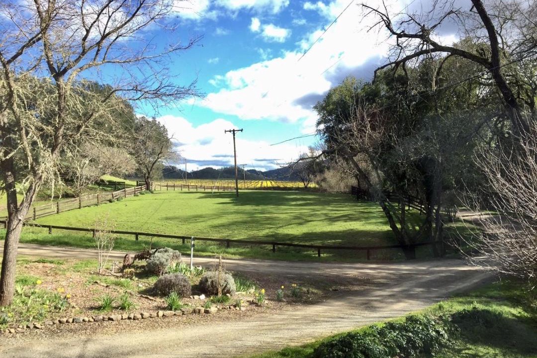 Photo of Others in St. Helena