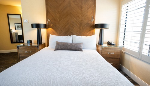 Standard Room, 1 Queen Bed, Non Smoking, Refrigerator & Microwave (2nd Floor;Shower Only)