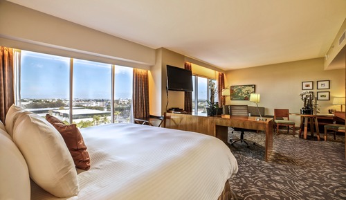 Superior Suite, 1 King Bed, City View (Suite King)