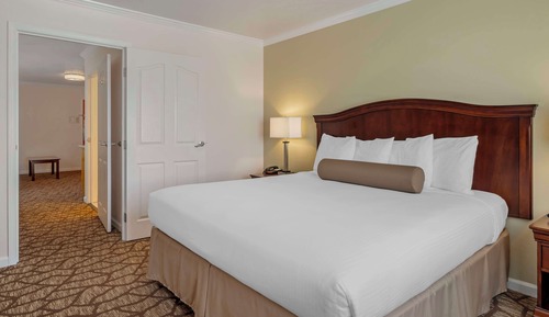 Standard Room, 1 King Bed, Non Smoking, Refrigerator & Microwave