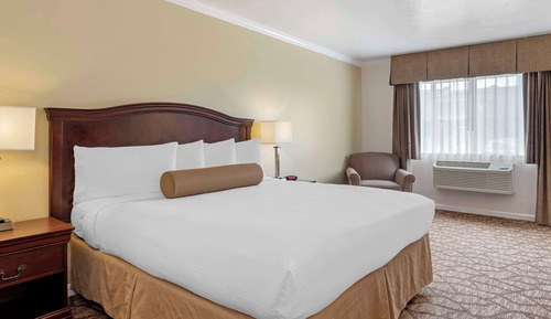 Standard Room, 1 King Bed, Non Smoking, Refrigerator & Microwave (Larger Room)