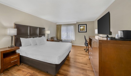 Standard Room, 1 King Bed, Non Smoking, Jetted Tub