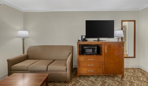 Standard Room, 1 King Bed, Non Smoking, Refrigerator & Microwave (Oversized Room)