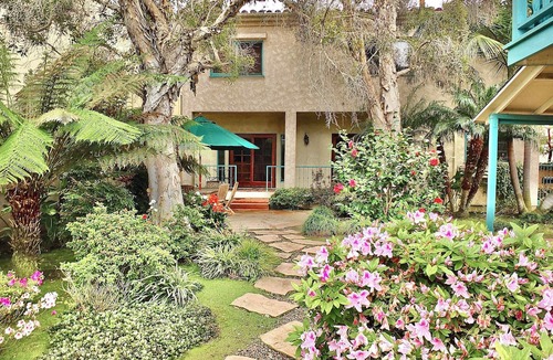 Belmont Heights House | Belmont Heights Retreat Stunning Gardens
