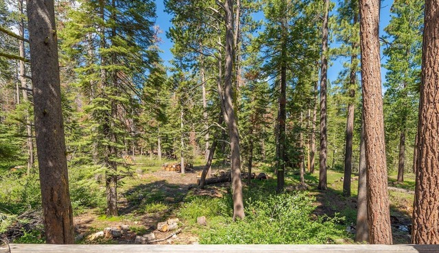 Hot Tub, Secluded West Shore Cabin! Pets OK!