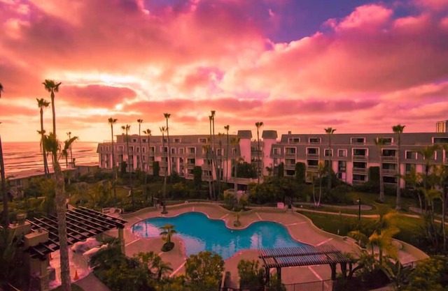 Palms 